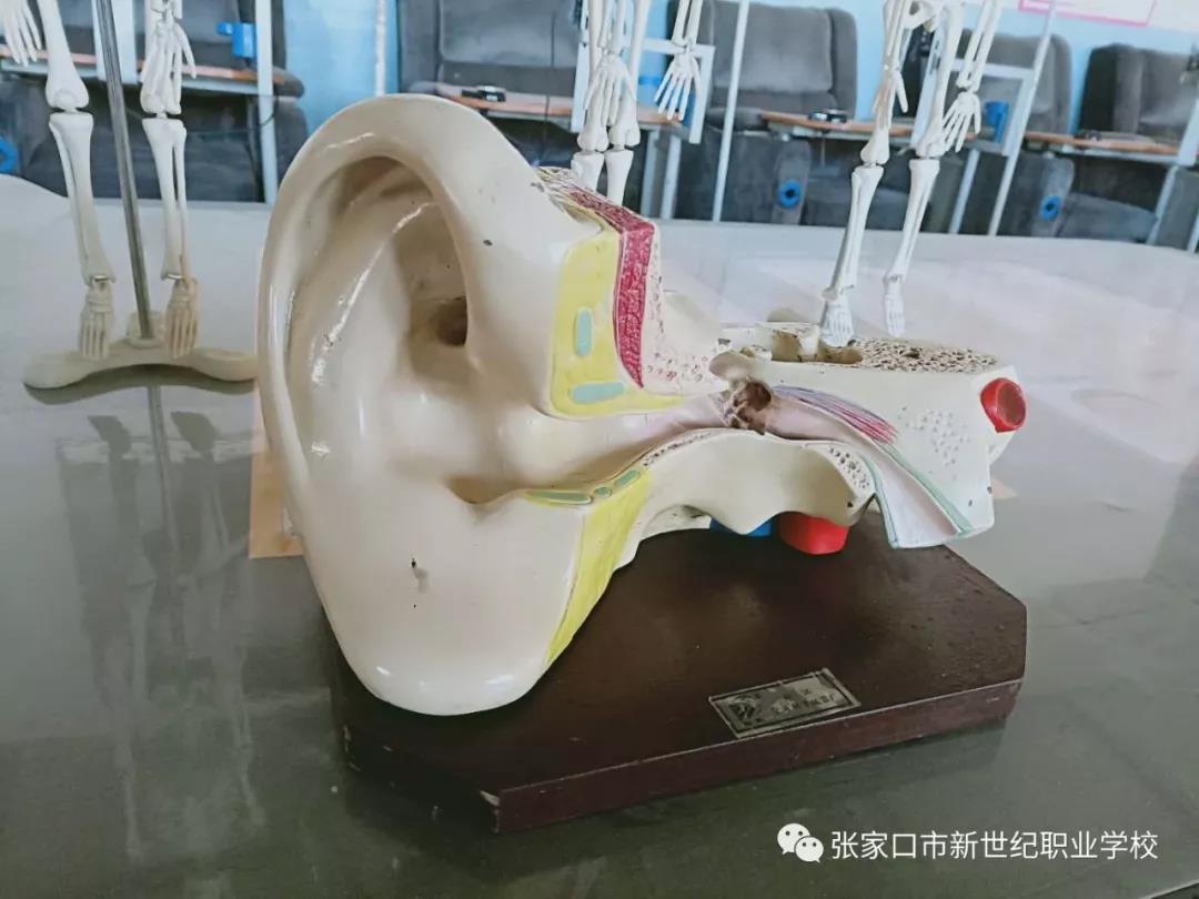 護理實訓(xùn)室6.jpg