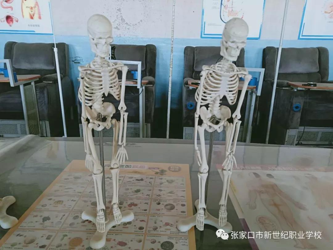 護理實訓(xùn)室7.jpg
