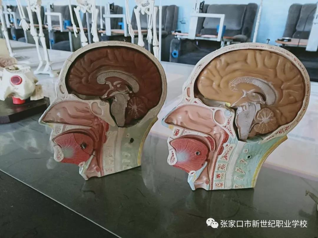 護理實訓(xùn)室8.jpg